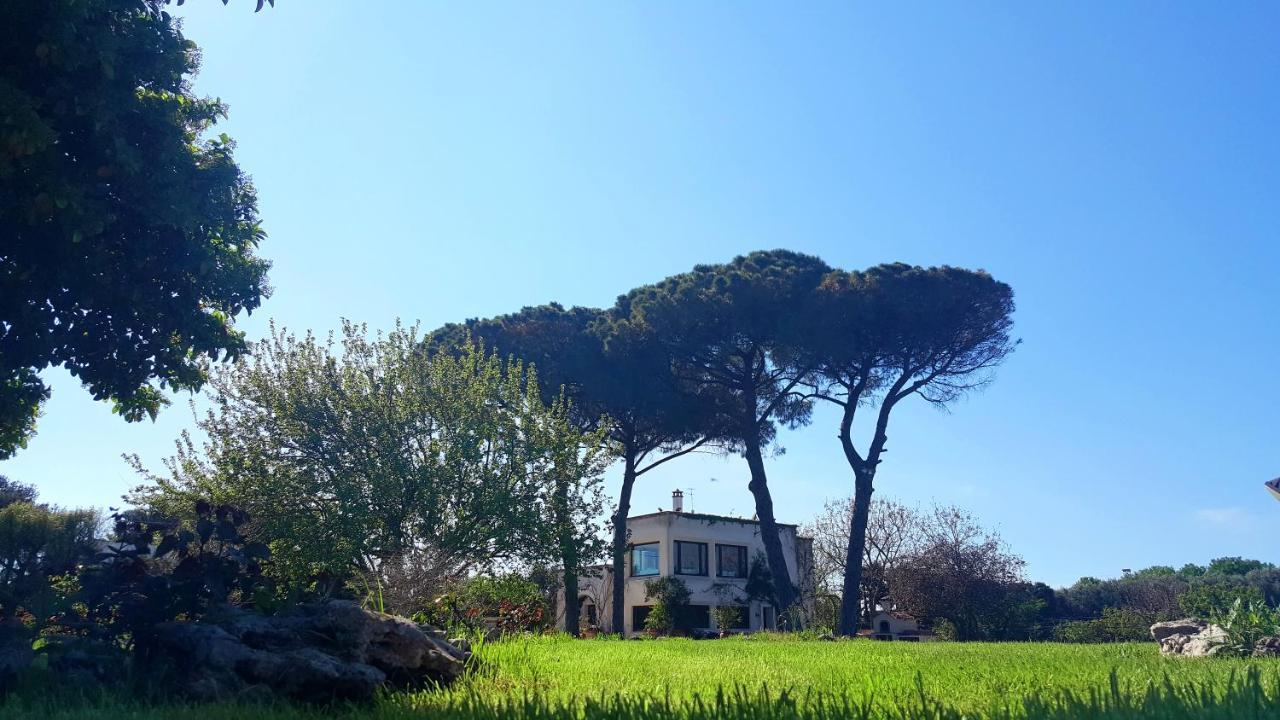 Tenuta Donnanna Agriturismo&Glamping Galatone Exterior photo